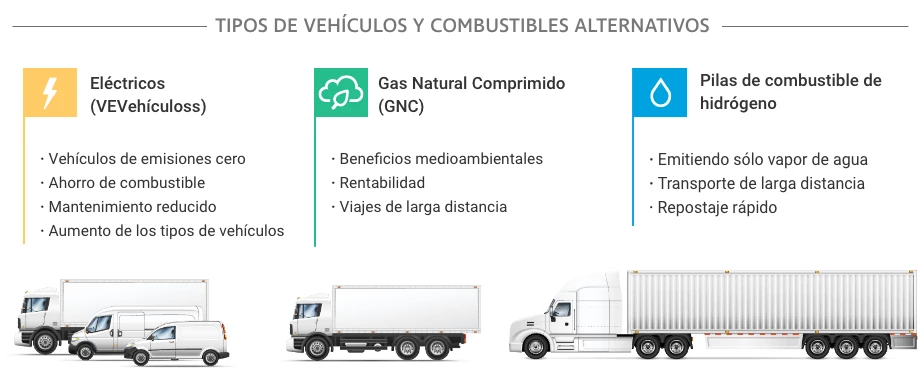 VE y tipos de combustinle MX