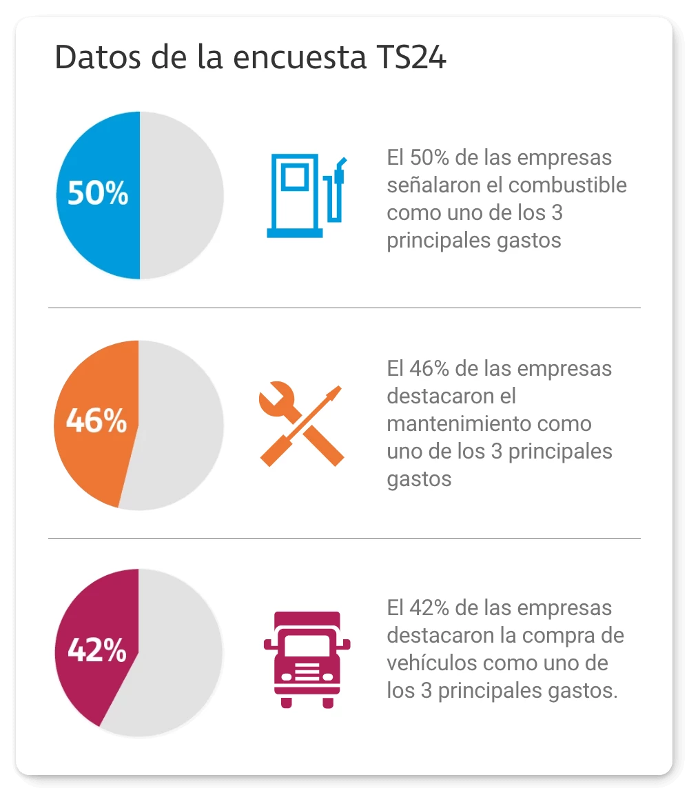 TS24 tamaño correcto